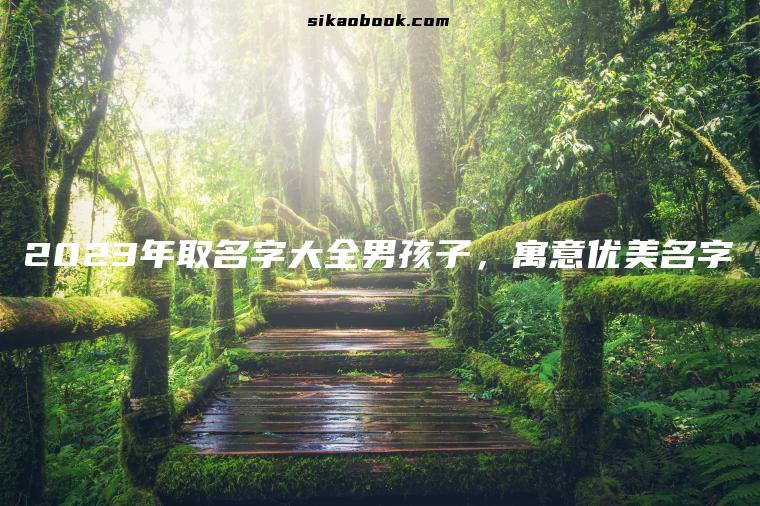 2023年取名字大全男孩子，寓意优美名字