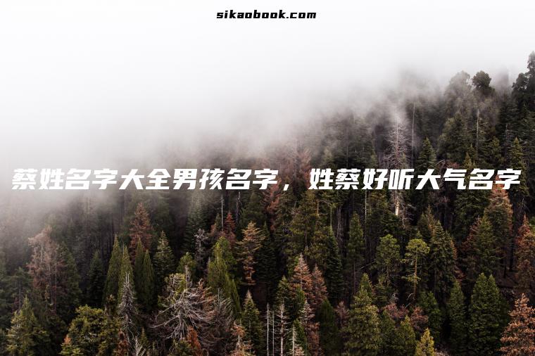 蔡姓名字大全男孩名字，姓蔡好听大气名字