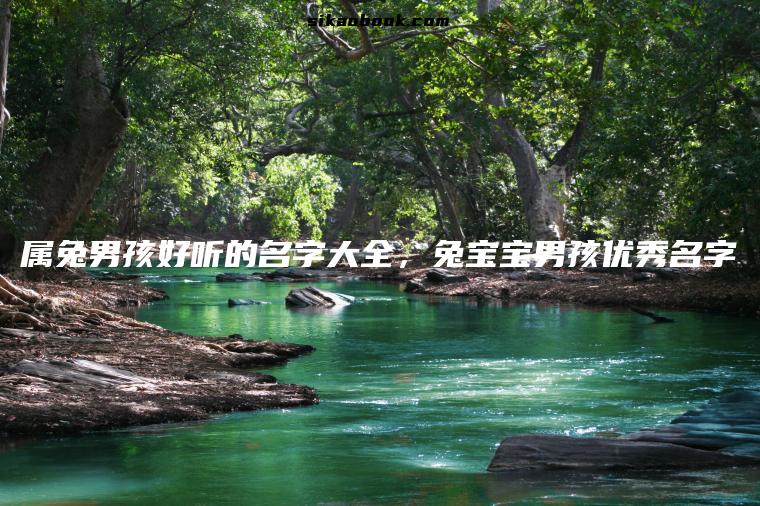 属兔男孩好听的名字大全，兔宝宝男孩优秀名字