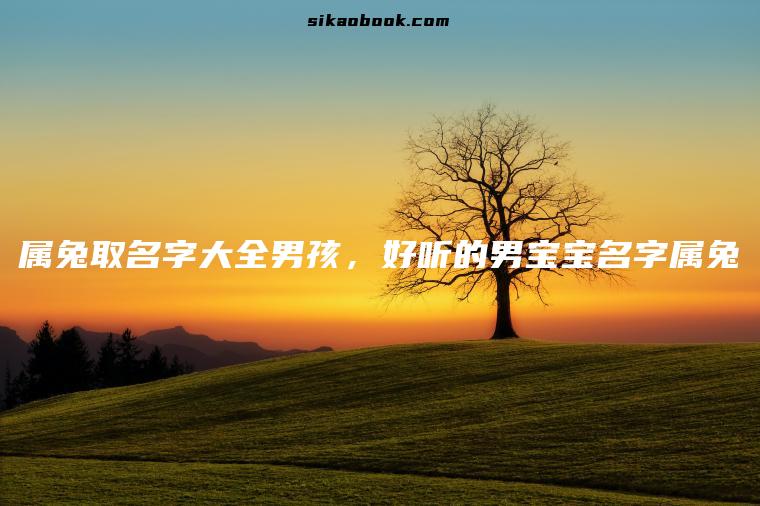属兔取名字大全男孩，好听的男宝宝名字属兔