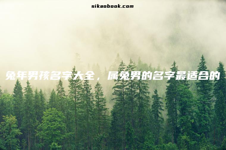 兔年男孩名字大全，属兔男的名字最适合的