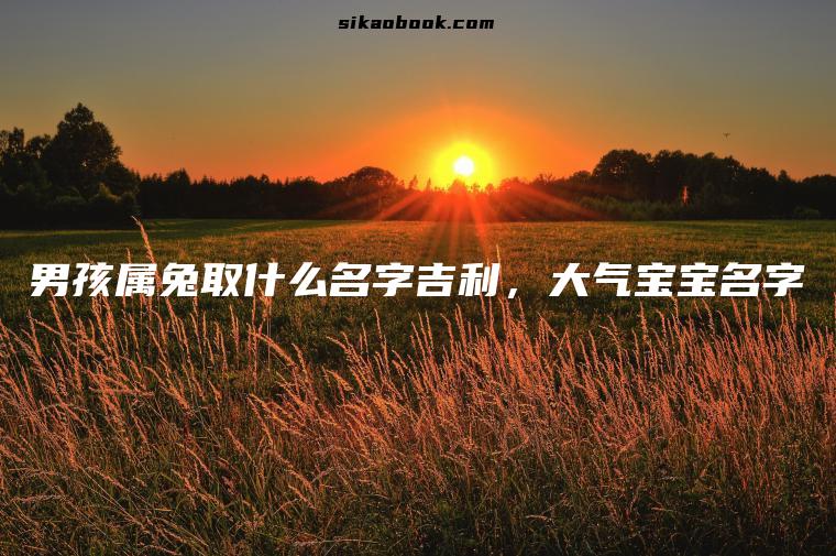 男孩属兔取什么名字吉利，大气宝宝名字