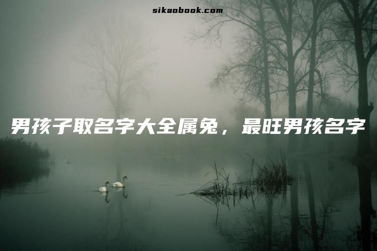 男孩子取名字大全属兔，最旺男孩名字