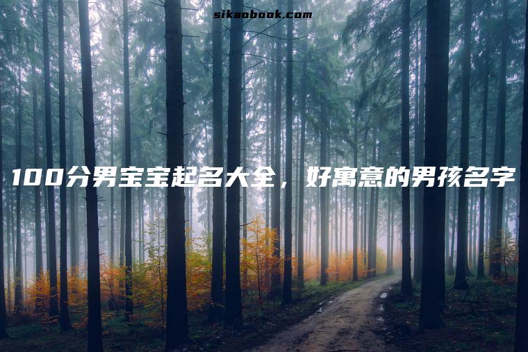 100分男宝宝起名大全，好寓意的男孩名字