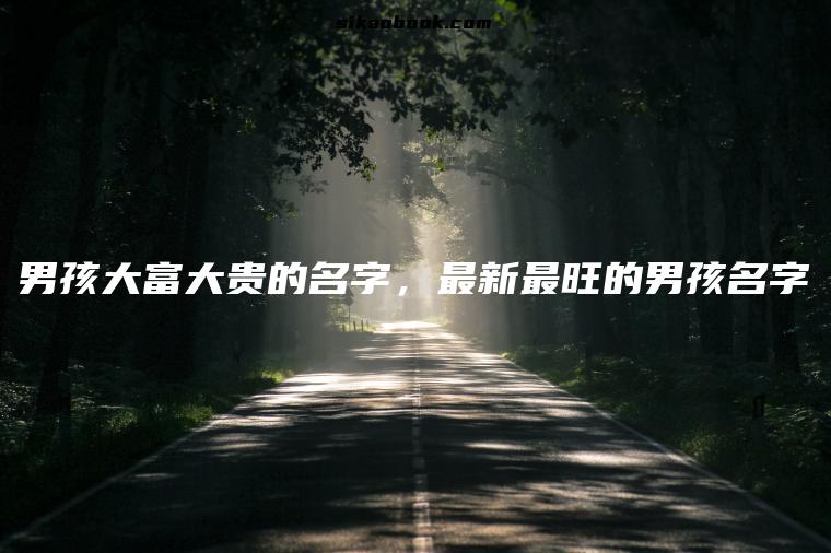 男孩大富大贵的名字，最新最旺的男孩名字