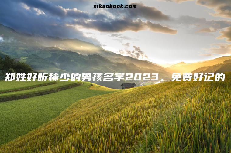 郑姓好听稀少的男孩名字2023，免费好记的