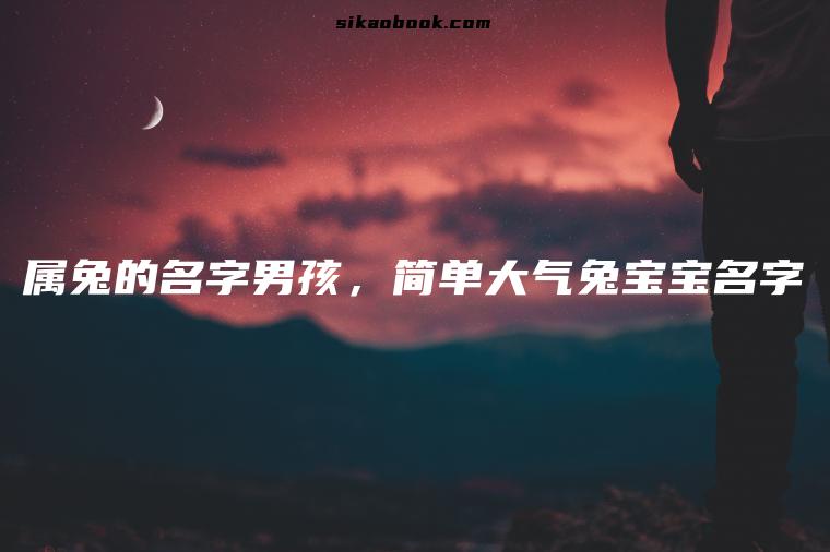 属兔的名字男孩，简单大气兔宝宝名字