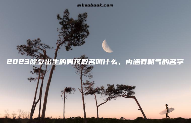 2023除夕出生的男孩取名叫什么，内涵有朝气的名字