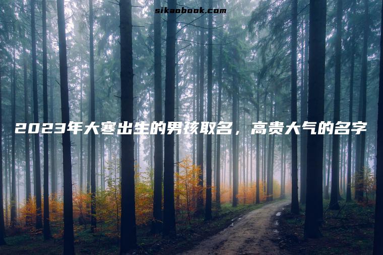 2023年大寒出生的男孩取名，高贵大气的名字