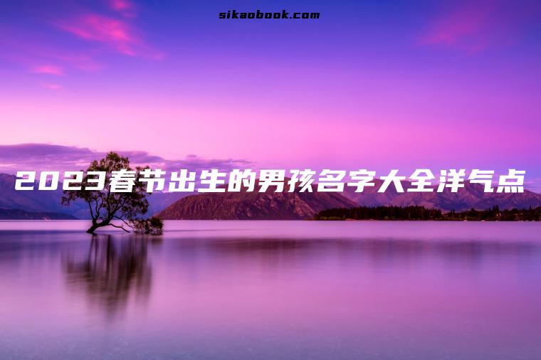 2023春节出生的男孩名字大全洋气点