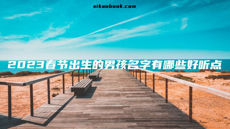 2023春节出生的男孩名字有哪些好听点