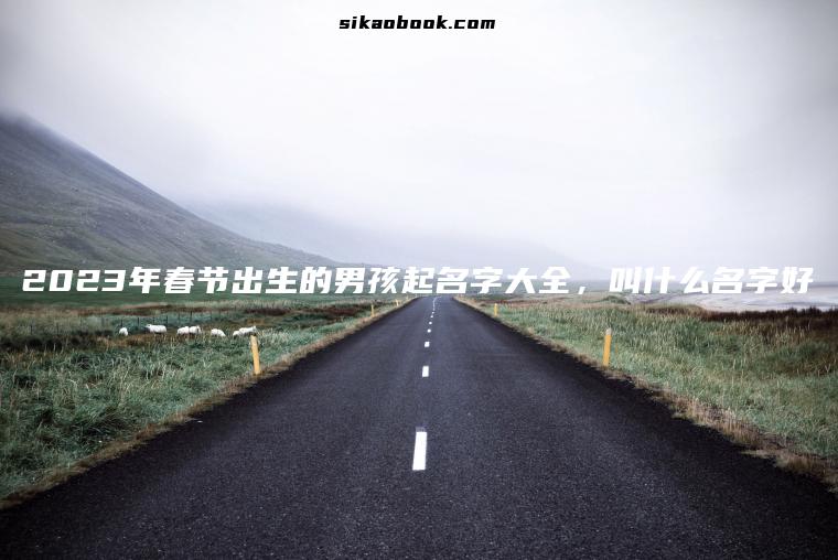 2023年春节出生的男孩起名字大全，叫什么名字好