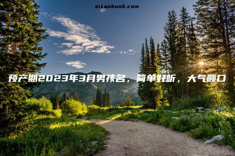 预产期2023年3月男孩名，简单好听，大气顺口