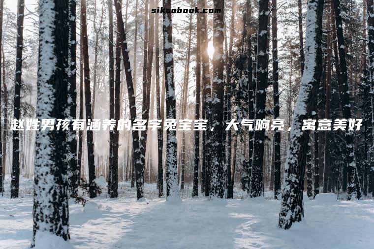 赵姓男孩有涵养的名字兔宝宝，大气响亮，寓意美好
