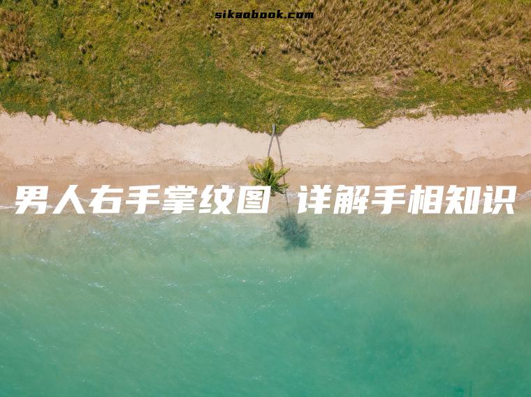 男人右手掌纹图 详解手相知识