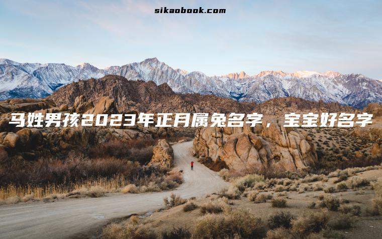 马姓男孩2023年正月属兔名字，宝宝好名字