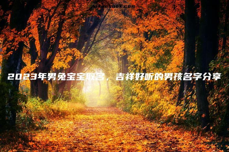 2023年男兔宝宝取名，吉祥好听的男孩名字分享