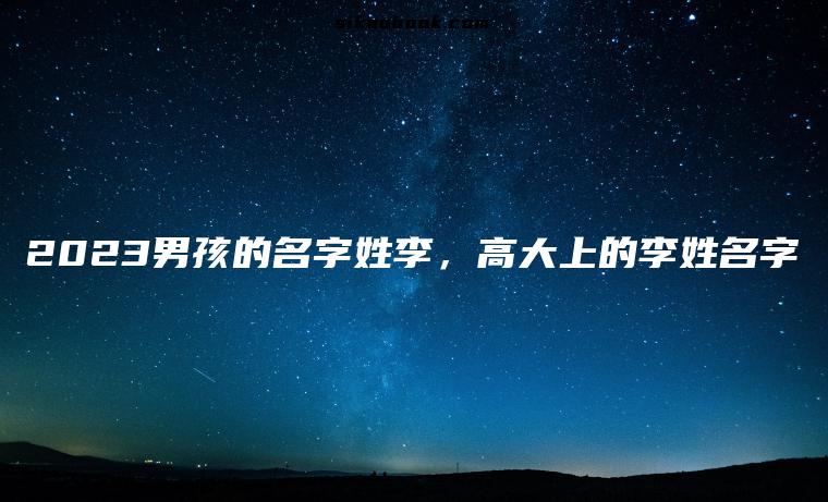 2023男孩的名字姓李，高大上的李姓名字