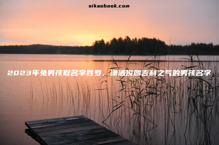 2023年兔男孩取名字姓罗，潇洒俊朗吉利之气的男孩名字