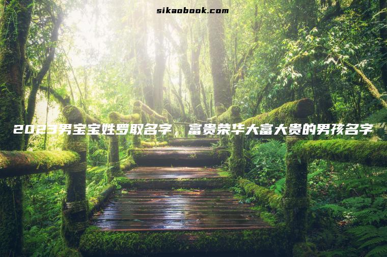 2023男宝宝姓罗取名字，富贵荣华大富大贵的男孩名字
