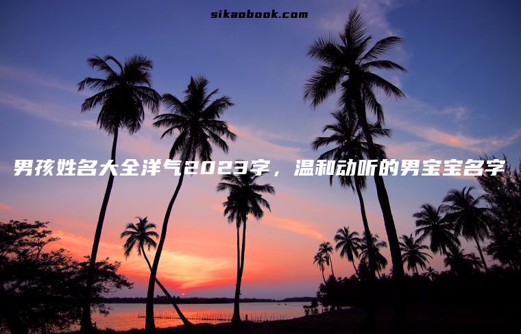 男孩姓名大全洋气2023字，温和动听的男宝宝名字