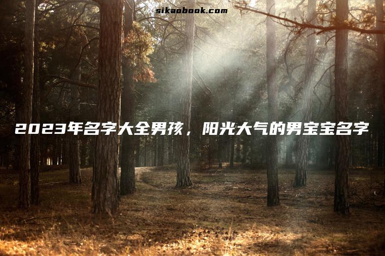 2023年名字大全男孩，阳光大气的男宝宝名字