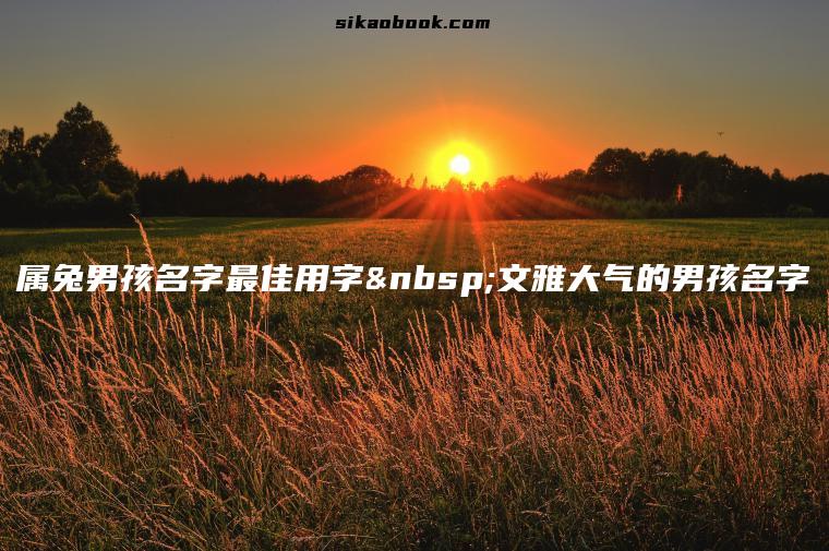 属兔男孩名字最佳用字 文雅大气的男孩名字
