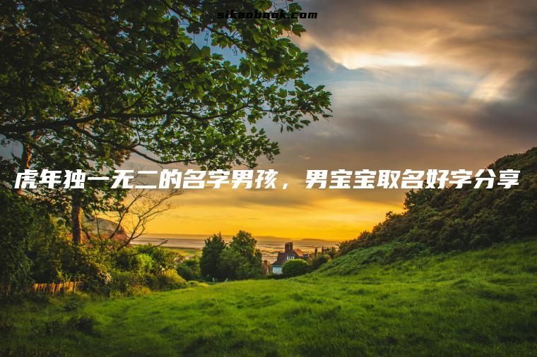 虎年独一无二的名字男孩，男宝宝取名好字分享