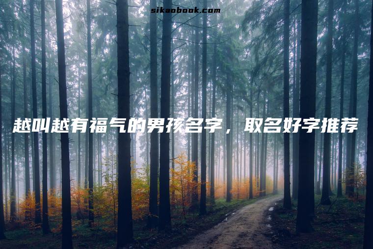 越叫越有福气的男孩名字，取名好字推荐