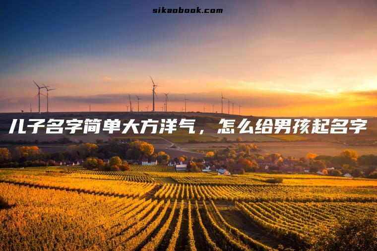 儿子名字简单大方洋气，怎么给男孩起名字