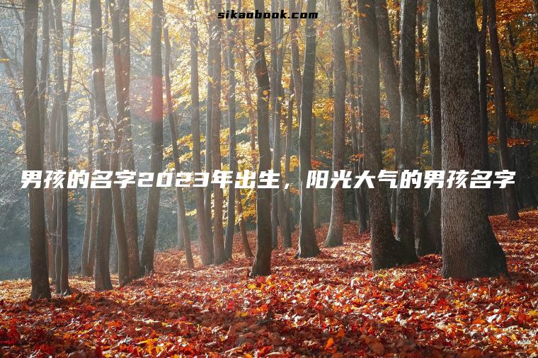 男孩的名字2023年出生，阳光大气的男孩名字