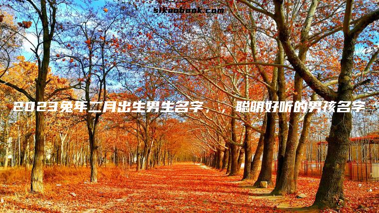 2023兔年二月出生男生名字，，聪明好听的男孩名字