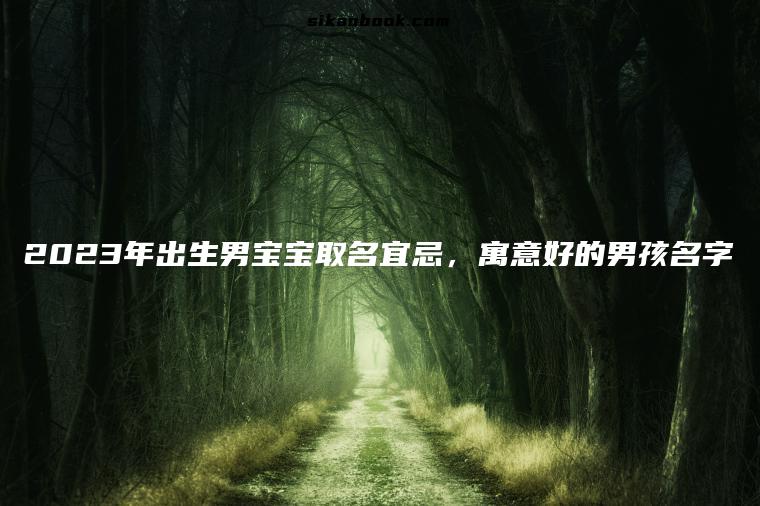 2023年出生男宝宝取名宜忌，寓意好的男孩名字