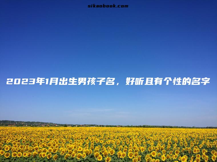 2023年1月出生男孩子名，好听且有个性的名字