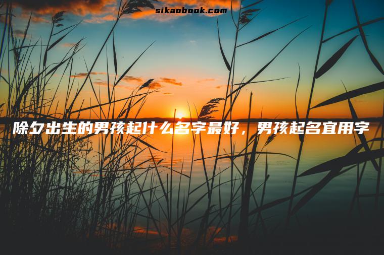 除夕出生的男孩起什么名字最好，男孩起名宜用字