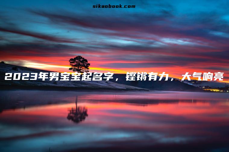 2023年男宝宝起名字，铿锵有力，大气响亮