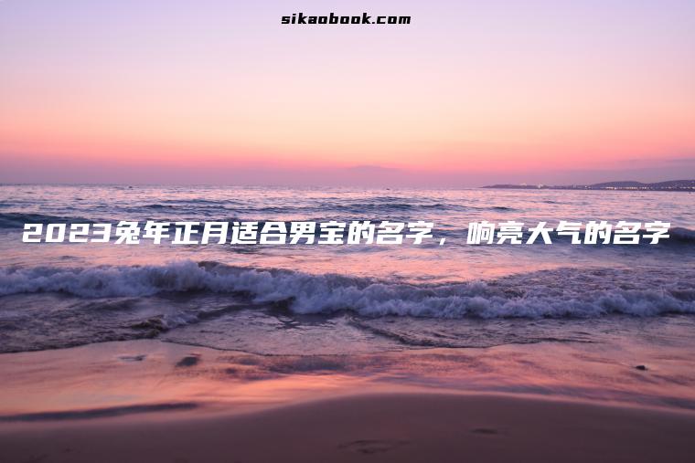 2023兔年正月适合男宝的名字，响亮大气的名字