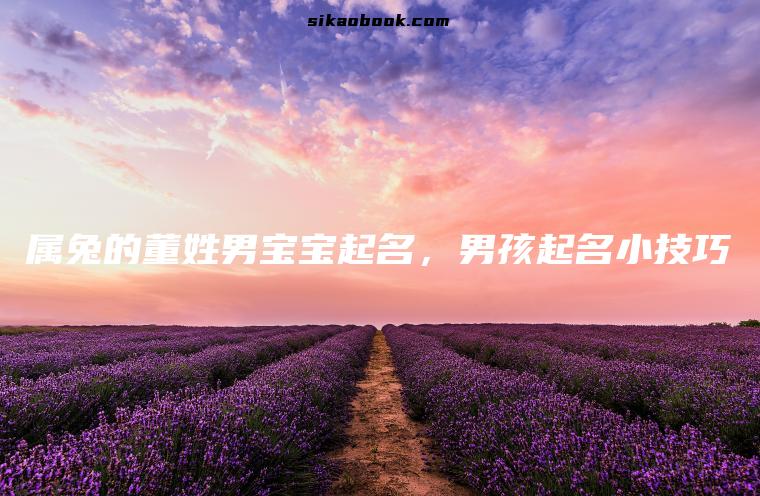 属兔的董姓男宝宝起名，男孩起名小技巧