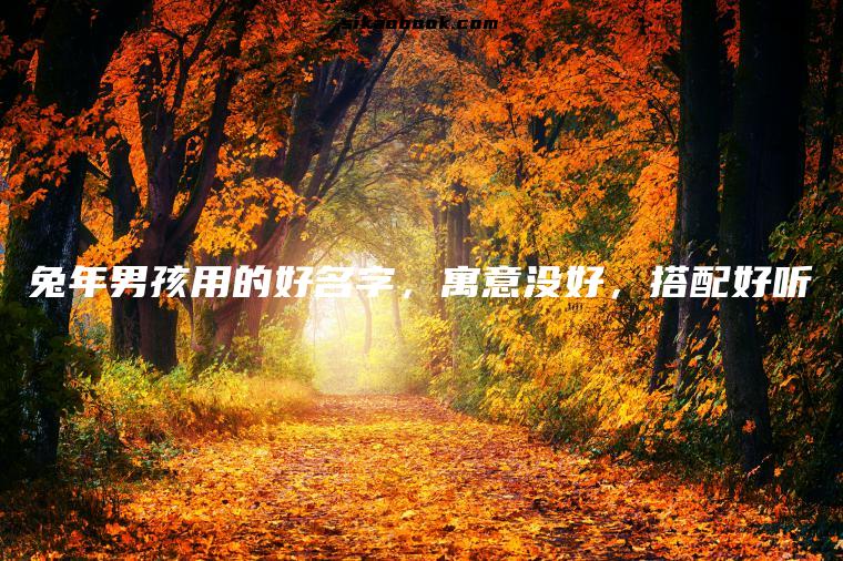 兔年男孩用的好名字，寓意没好，搭配好听