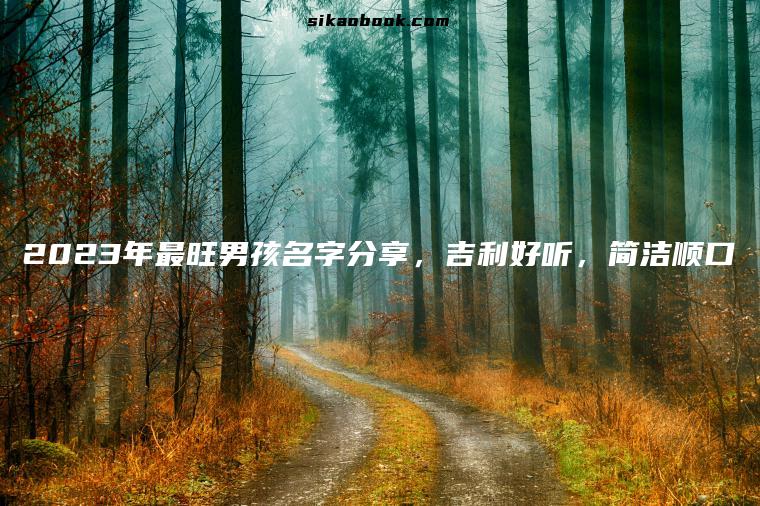 2023年最旺男孩名字分享，吉利好听，简洁顺口