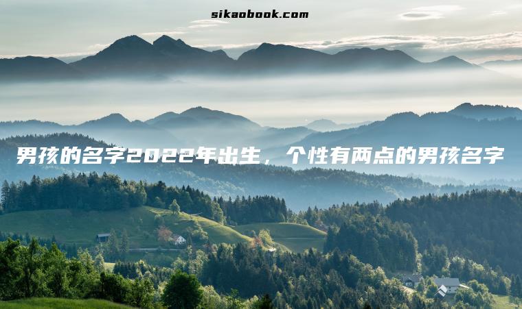 男孩的名字2022年出生，个性有两点的男孩名字