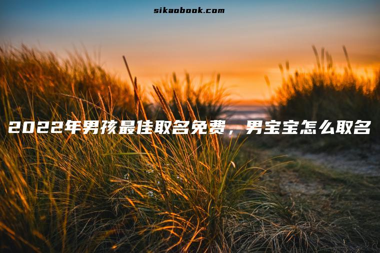 2022年男孩最佳取名免费，男宝宝怎么取名