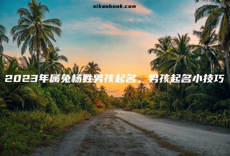 2023年属兔杨姓男孩起名，男孩起名小技巧