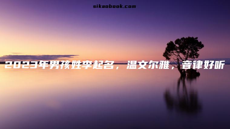 2023年男孩姓李起名，温文尔雅，音律好听