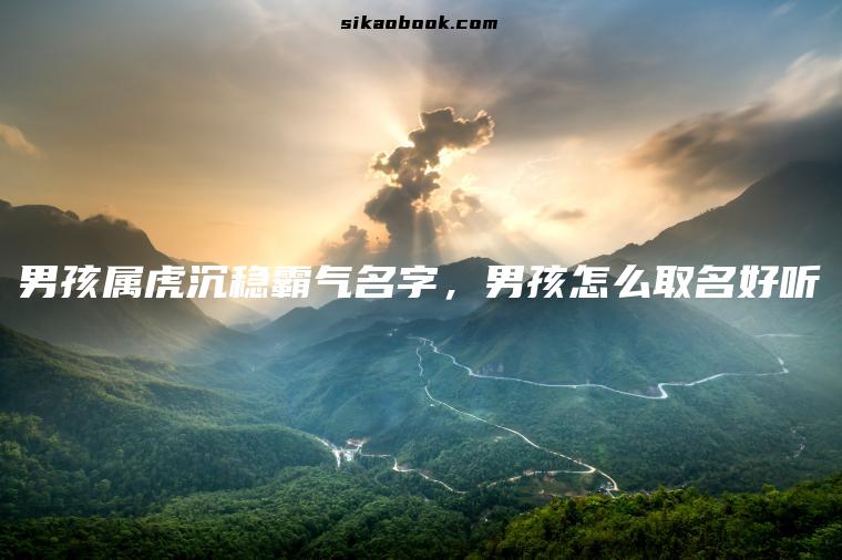 男孩属虎沉稳霸气名字，男孩怎么取名好听