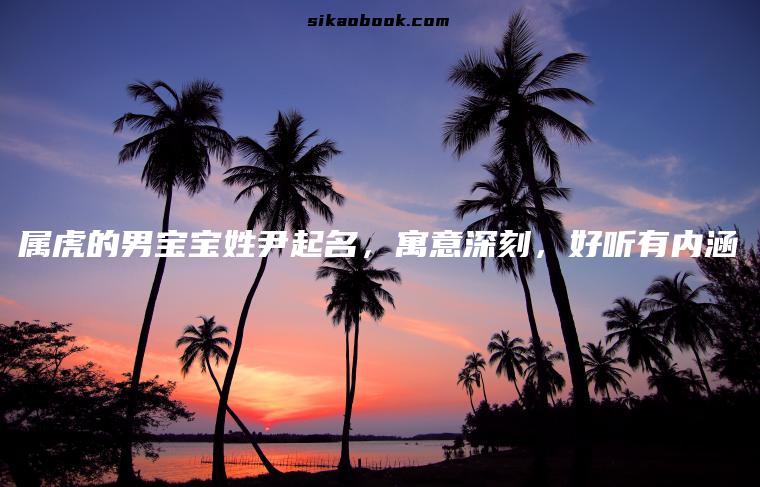 属虎的男宝宝姓尹起名，寓意深刻，好听有内涵