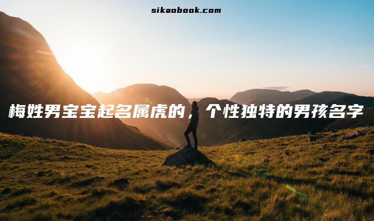 梅姓男宝宝起名属虎的，个性独特的男孩名字