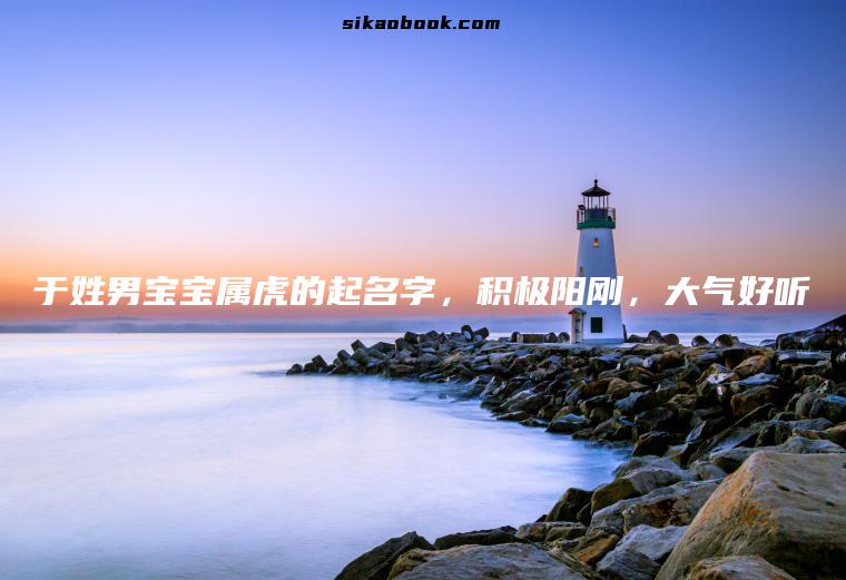 于姓男宝宝属虎的起名字，积极阳刚，大气好听
