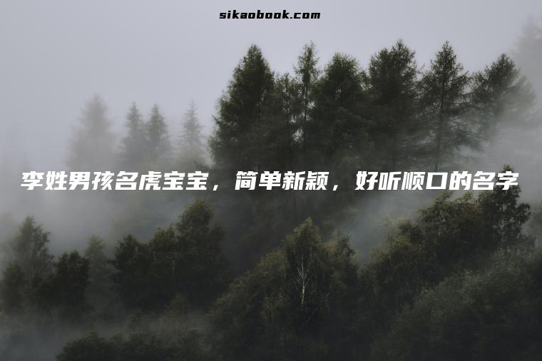 李姓男孩名虎宝宝，简单新颖，好听顺口的名字