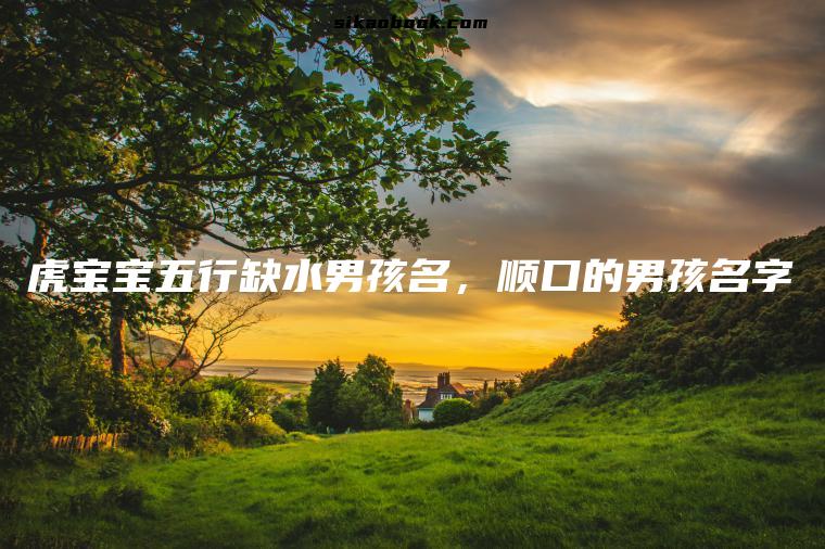 虎宝宝五行缺水男孩名，顺口的男孩名字